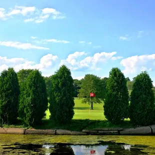 #8 Hole