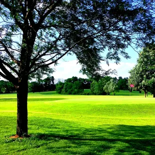 The course is so pretty.