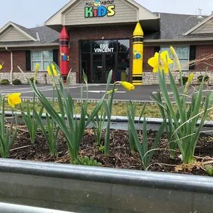 Spring into a new Childcare with All About Kids.  #comegrowwithus