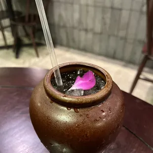 Check in for a herbal iced tea