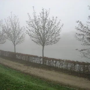 Viking River Cruise 2006