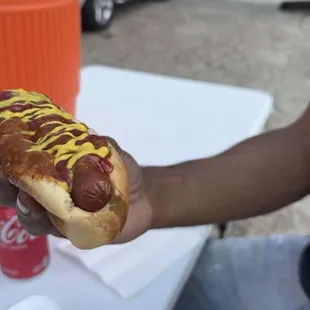 Regular dawg with chili, ketchup and mustard