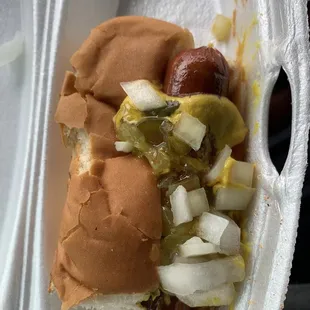 a hot dog and onions