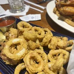 Calamari - Entree