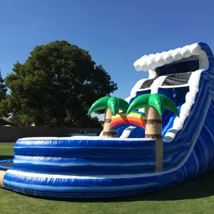 Tidal Wave Curvy Dry Slide