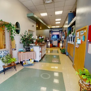 All Around Child Center For Exploration and Development
