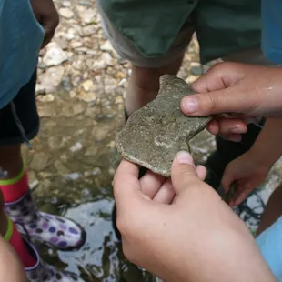 Hand's-On Learning Experiences!