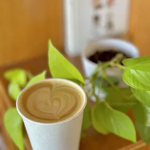 Latte Art! Dirty Chai