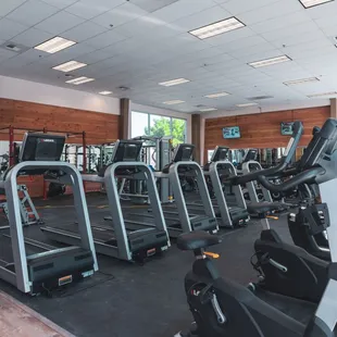 Multiple Cardio Equipment