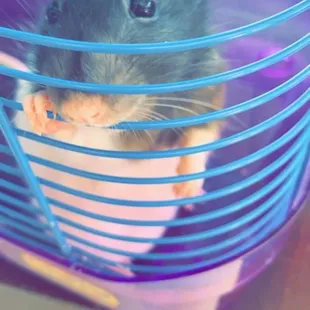 Milly waiting to see the doc.