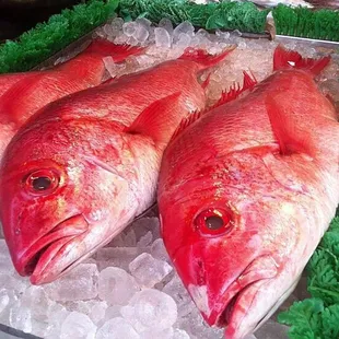 sashimi, sushi, sushi and sashimi, food