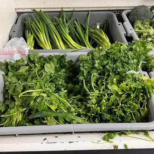 a display of fresh vegetables