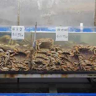 a fish market with a variety of fish