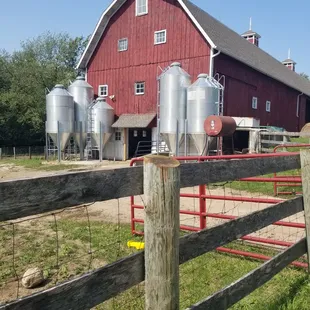 Fresh raw milk, eggs, beef &amp; poultry