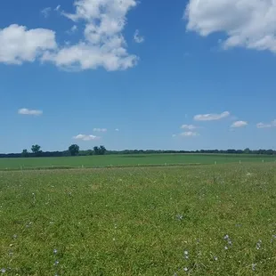 Absolutely beautiful landscape