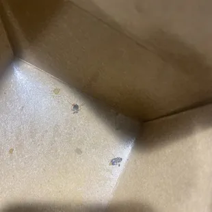 the shadow of a person