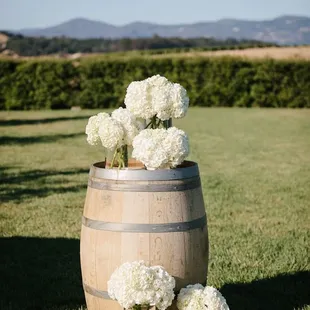 All your party equipment Bars, Candy Buffet, Buffet Items, Canopies, Tent, Catering, Catering Equipment, Chair Covers, Chairs...