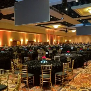 All your party equipment Bars, Candy Buffet, Buffet Items, Canopies, Tent, Catering, Catering Equipment, Chair Covers, Chairs...