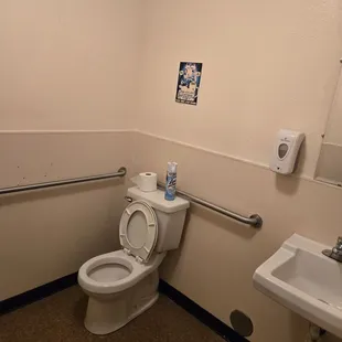 spare roll and lysol can on top of tiolet lid. poster for local upcoming show on wall. one rail behind and to side of tiolet.