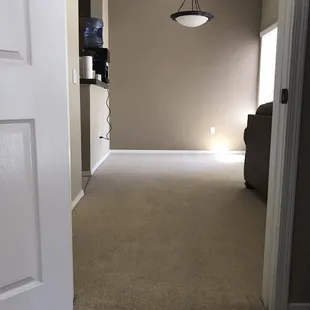 There were so many spots in this area!