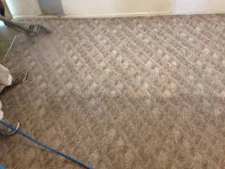Dave's Carpet Cleaning
