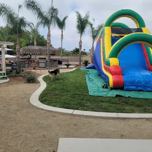 Massive jumper/slide