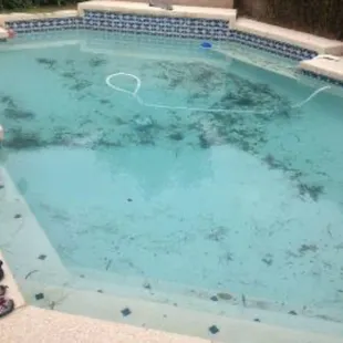 My pool that their technician was supposed to clean and check chemicals for but did neither
