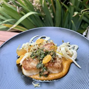 Scallops
