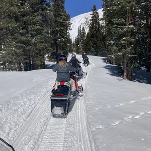 Trail ride below timberline