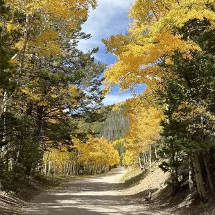 Spectacular scenery