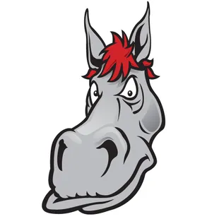 All Seasons Sportswear