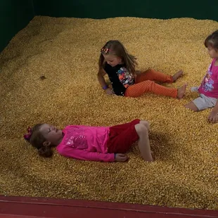 This "corn crib" is a HUGE hit!!!