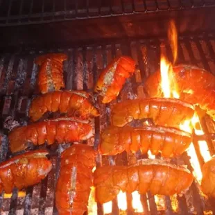 Grilled Lobster Tails