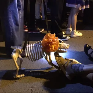 Oh my! Give this dog a bone!
