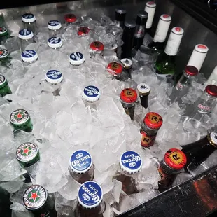 bottles of beer and ice