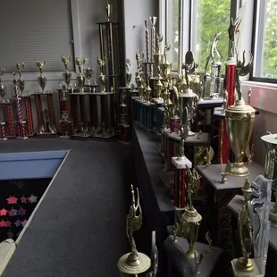 Just some of the many trophies won by our wonderful all star teams!