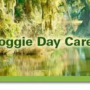 $20 day $12/half day