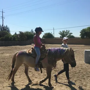2016 pony party