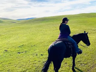 Lone Tree Ranch