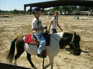 Shady Lawn Ranch