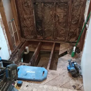 What it looked like after they ripped out the shower, the rotted wood and mold.