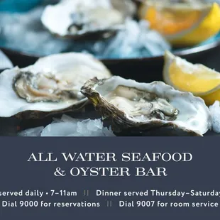 oysters, oysters and mussels, food, shellfish, mussels