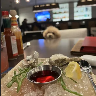 oysters and mussels, interior