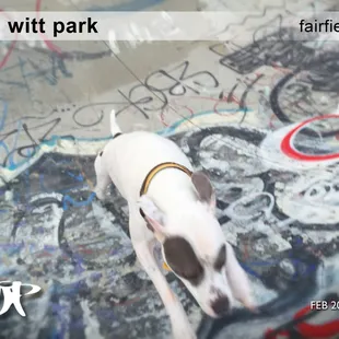 HAPA - "Up and over"