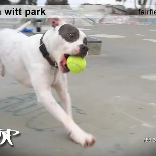 HAPA Boy - "Ball'n @ the skatepark"