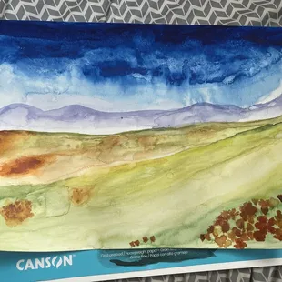 I needed some gouache to add more detail to my painting.