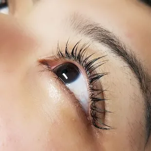 Lash lift