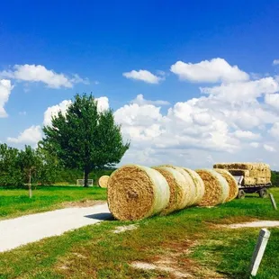 Hay rolls &amp; stacks on the site, looks pretty nice.  9/24/2016