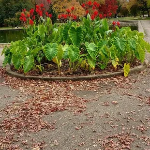 Allegheny Commons Park