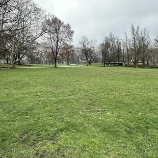 Dog area. Not fenced in.